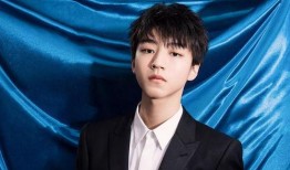 近期娱乐爆料王俊凯图片,帅气形象引网友热议